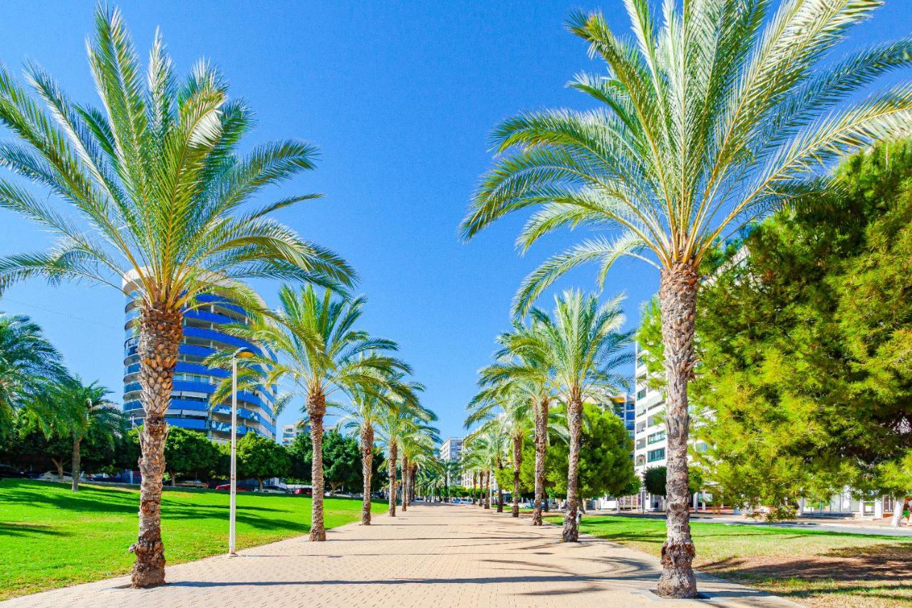 Cala Alta Sweet Apartments Benidorm Dış mekan fotoğraf